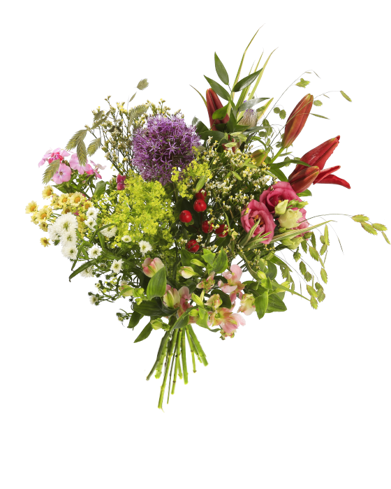 Harnas leerling Wijzer Bloombox | Online bloemen bestellen